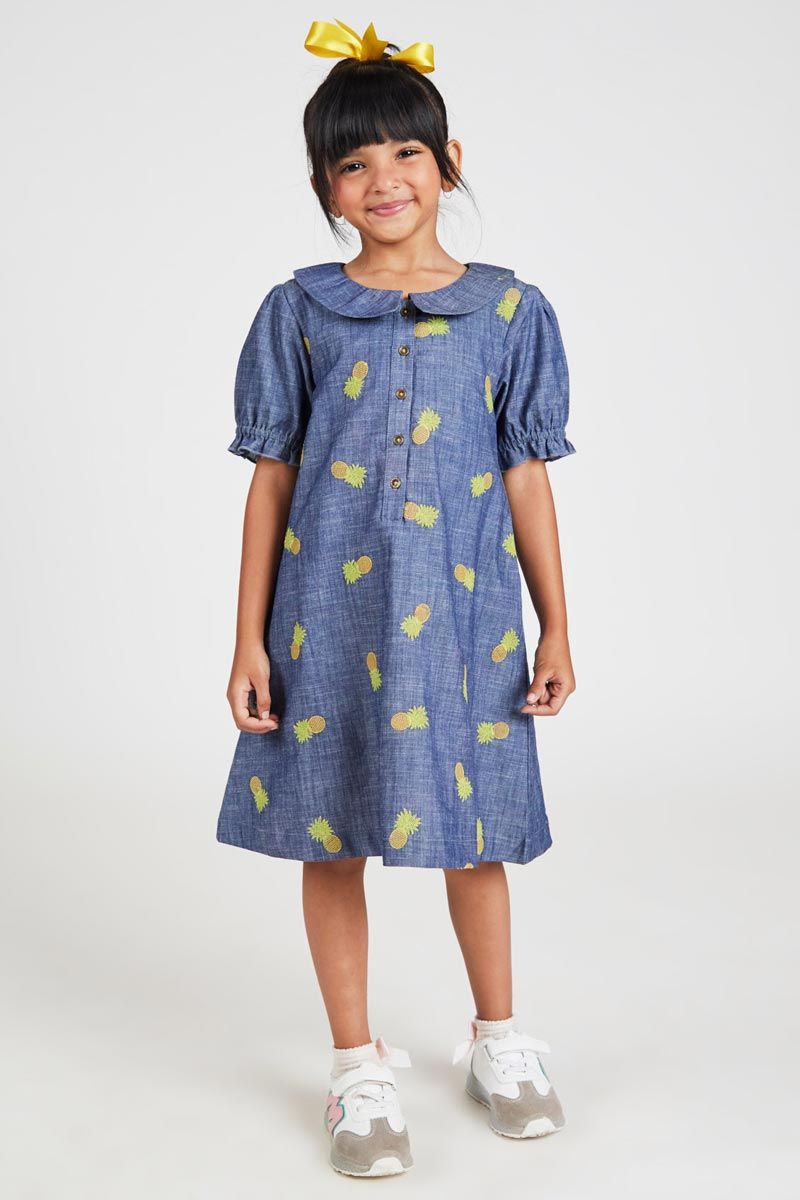 Blue Embroidered Denim Dress With Pineapple Motif