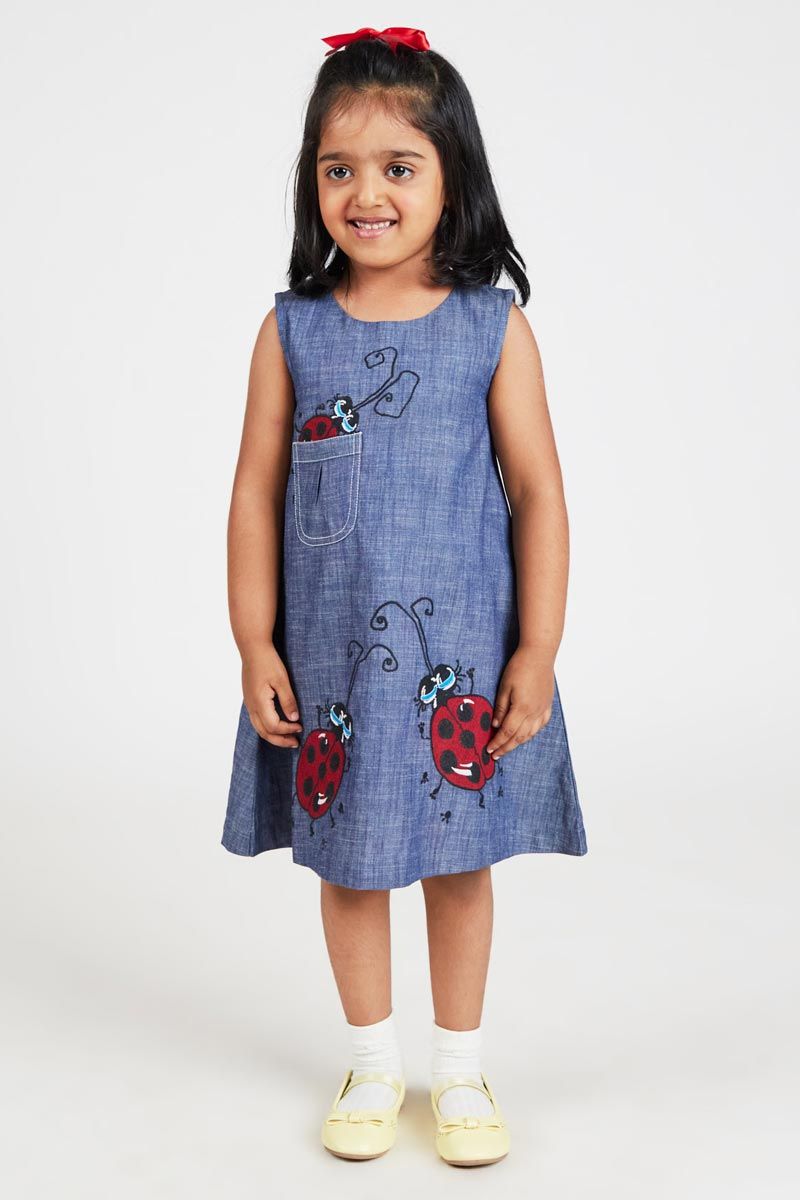 Blue Denim Dress With Ladybug Embroidery And A Line Silhouette