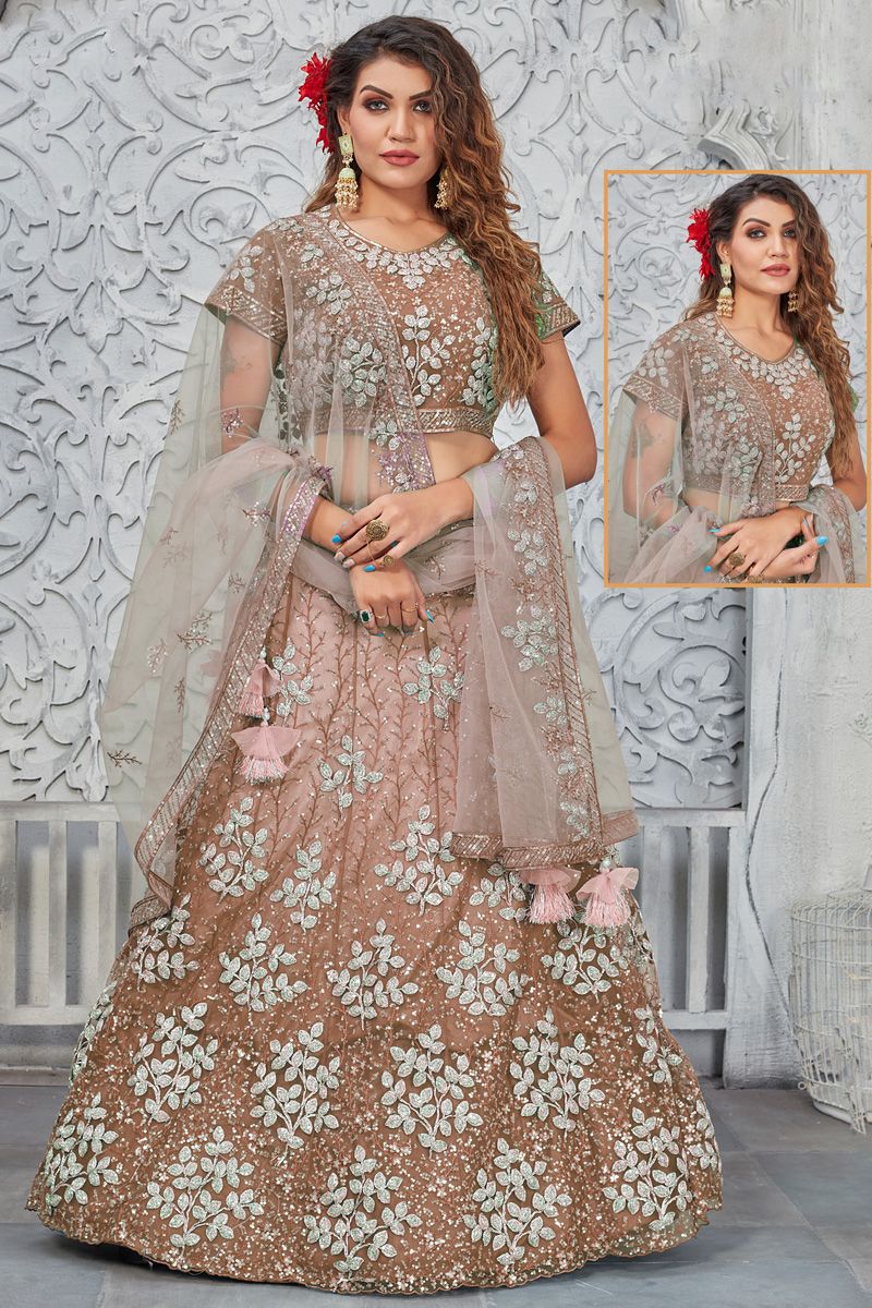 Chikoo Color Function Look Delicate Net Lehenga