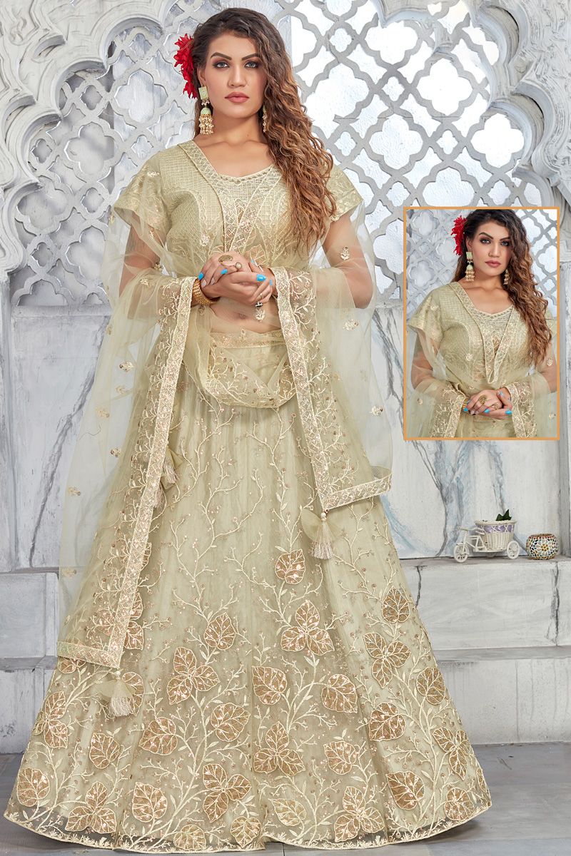 Beige Color Net Function Look Amazing Lehenga